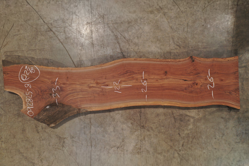 Oregon Black Walnut Slab 092825-8