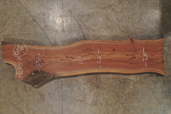 Oregon Black Walnut Slab 092825-8
