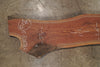 Oregon Black Walnut Slab 092825-8