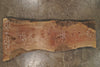 Bastogne Walnut Slab 092825-9