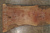 Bastogne Walnut Slab 092825-9
