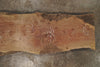 Bastogne Walnut Slab 092825-9