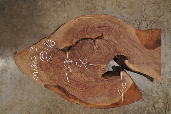 Bastogne Walnut Slab 092825-3