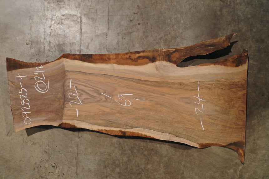 English Walnut Slab 092825-4