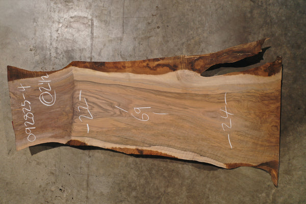 English Walnut Slab 092825-4