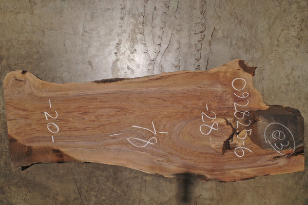 Bastogne Walnut Slab 092825-6