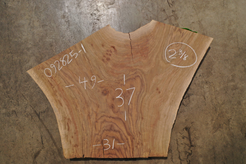 Bastogne Walnut Slab 092825-1