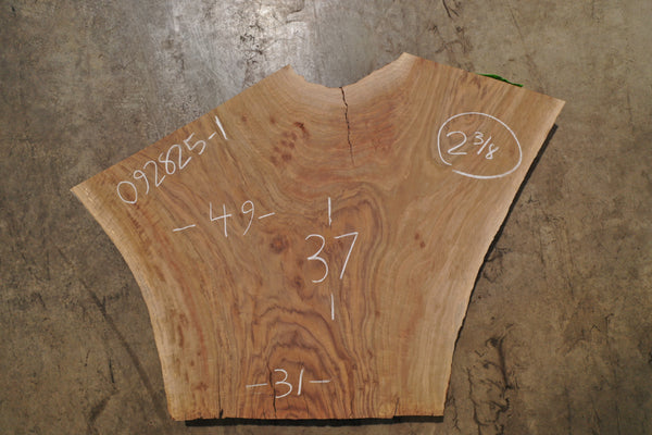 Bastogne Walnut Slab 092825-1