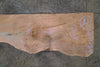 Big Leaf Maple Slab 120423-09