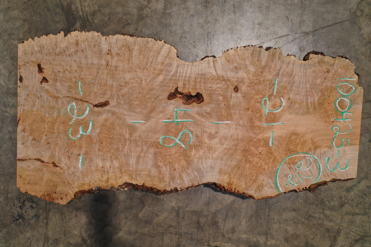 Big Leaf Maple Burl Slab 100425-3