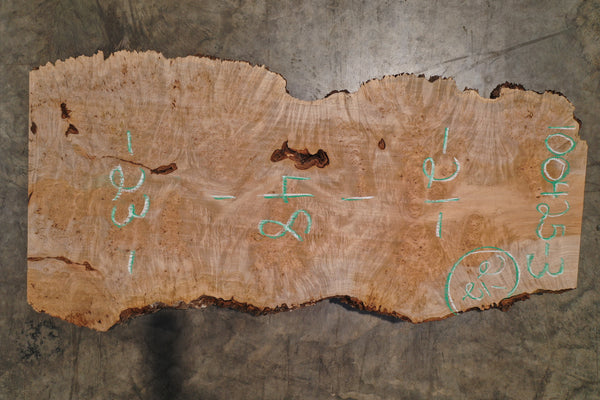 Big Leaf Maple Burl Slab 100425-3