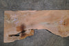 Big Leaf Maple Slab 120423-09