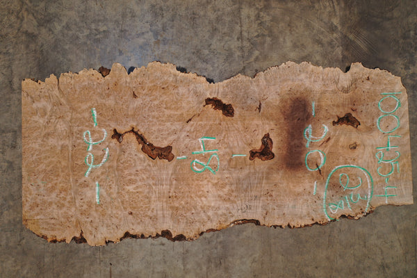 Big Leaf Maple Burl Slab 100425-4