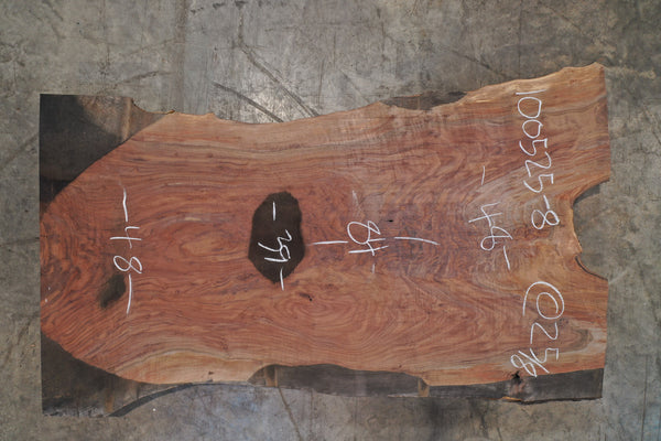 Oregon Black Walnut Slab 100525-8