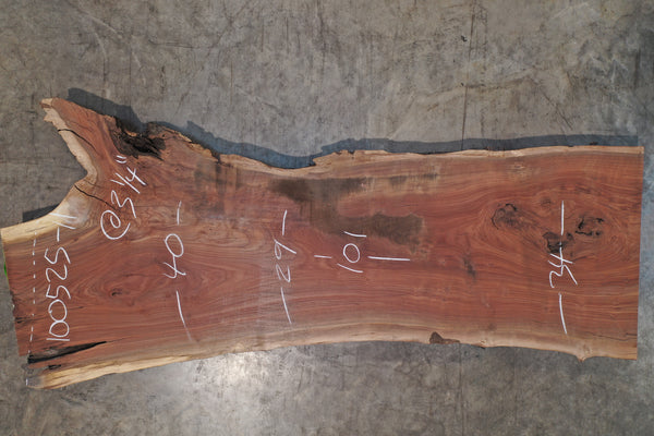 Oregon Black Walnut Slab 100525-11