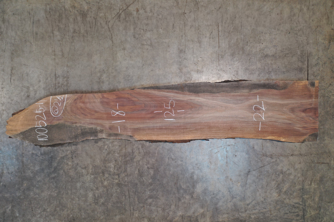 Oregon Black Walnut Slab 100525-1