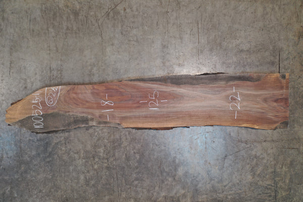 Oregon Black Walnut Slab 100525-1