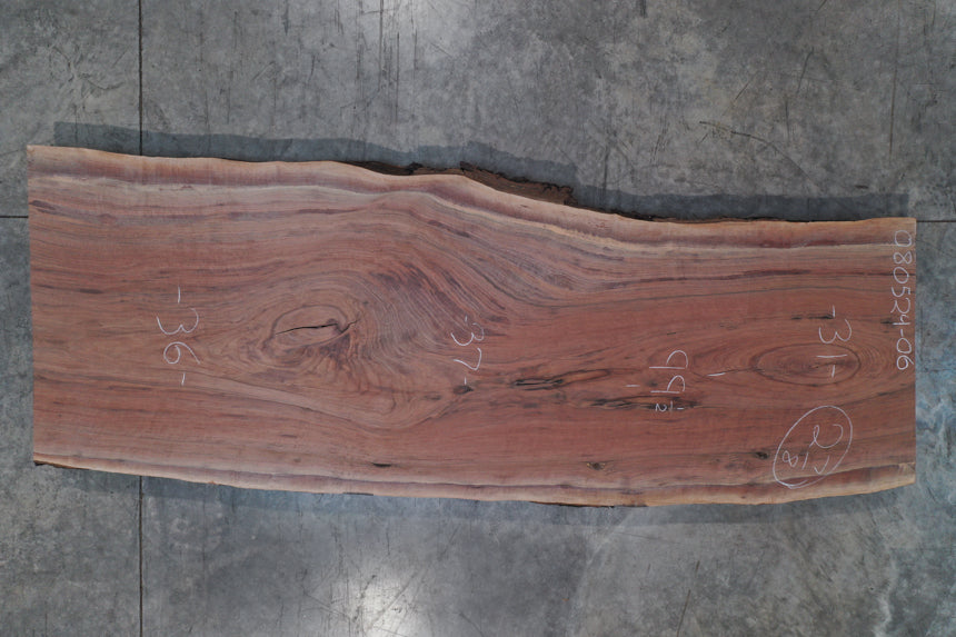 Oregon Black Walnut Slab 080524-06