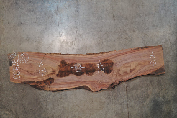 Oregon Black Walnut Slab 100525-2