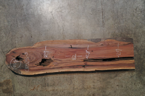 Oregon Black Walnut Slab 100525-3