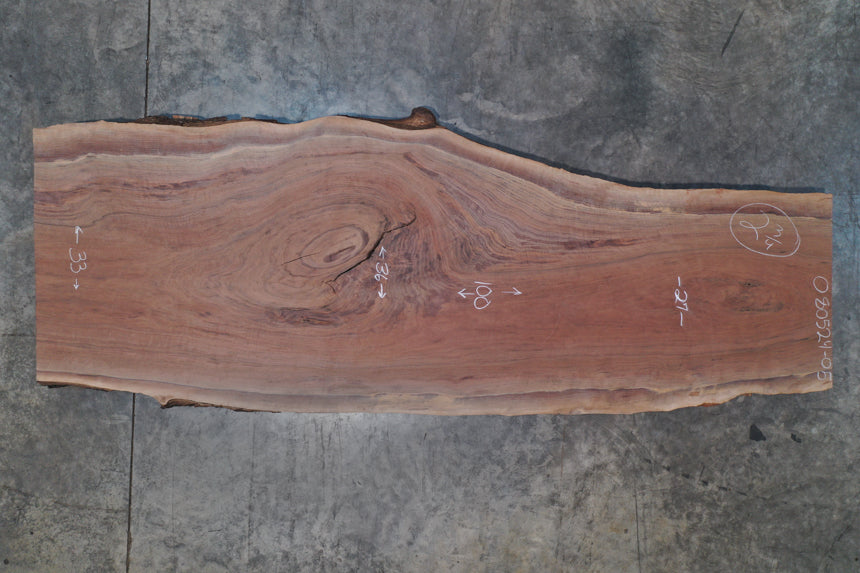 Oregon Black Walnut Slab 080524-05