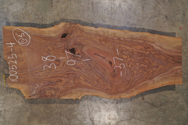 Oregon Black Walnut Slab 100525-4