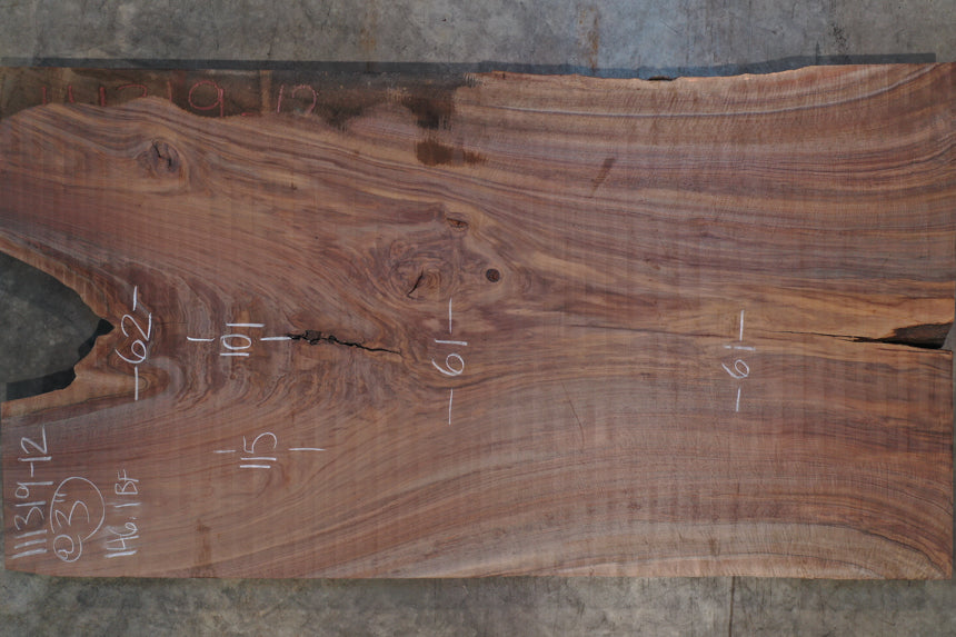 Oregon Walnuts Oregon Black Walnut Slab 111319-12 – Goby Walnut