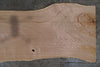 Elm Slab 100424-10