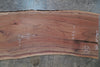 Oregon Black Walnut Slab 080524-09