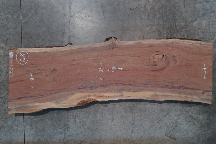 Oregon Black Walnut Slab 080724-04