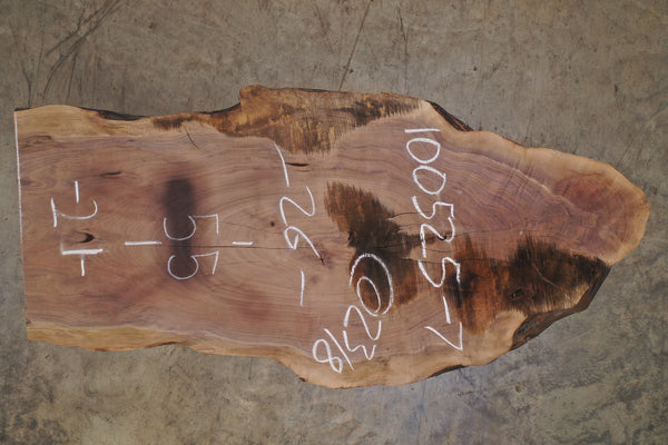 Oregon Black Walnut Slab 100525-7