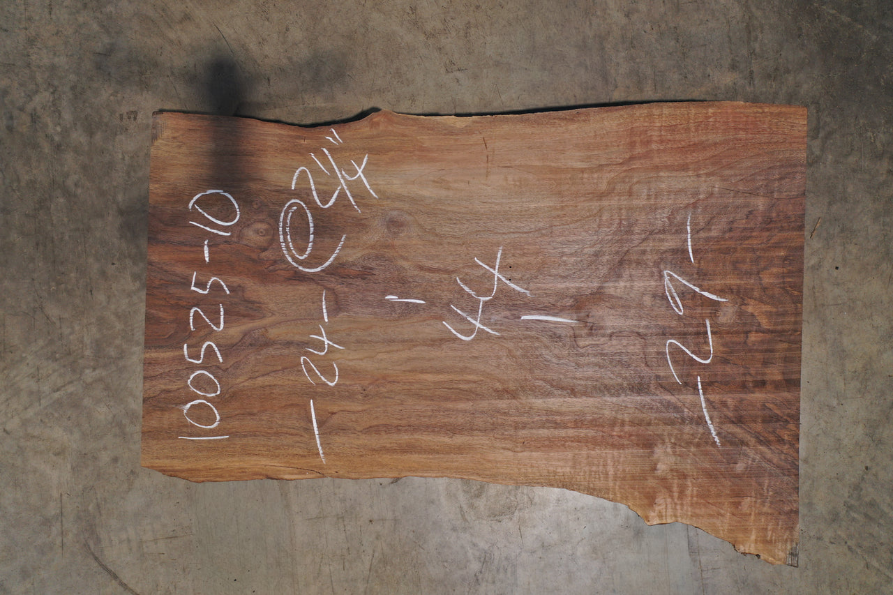 Oregon Black Walnut Slab 100525-10