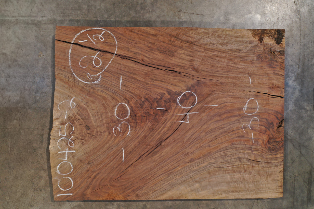 Oregon Black Walnut Slab 100425-2