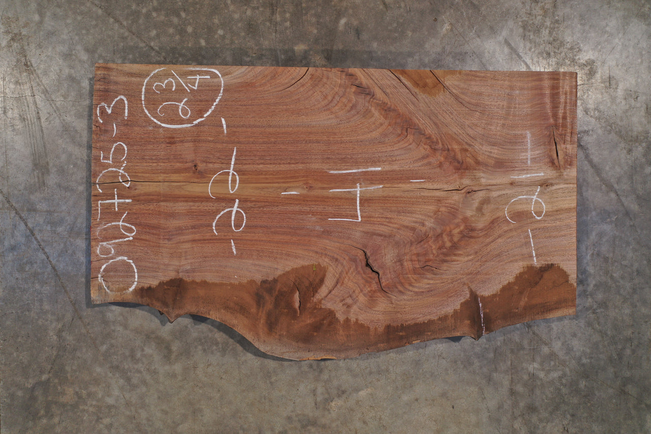 Oregon Black Walnut Slab 092725-3