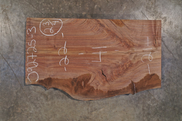 Oregon Black Walnut Slab 092725-3