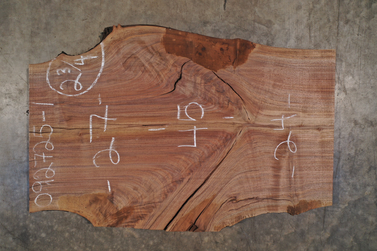 Oregon Black Walnut Slab 092725-1