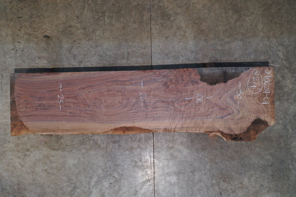 Oregon Black Walnut 090624-01