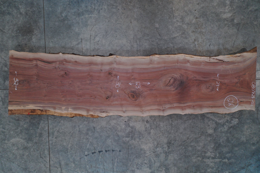 Oregon Black Walnut Slab 080724-01