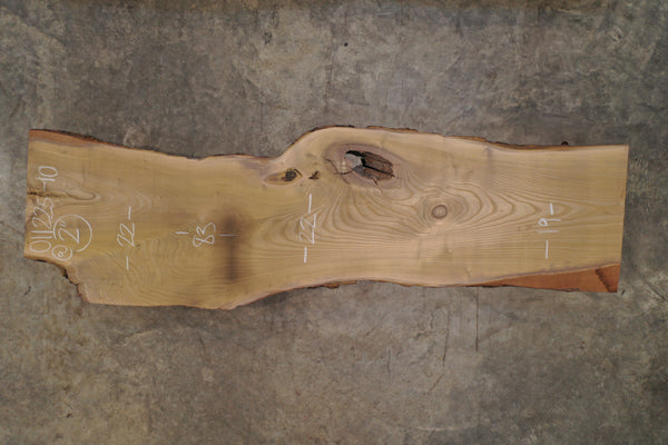 Elm Slab 011225-10