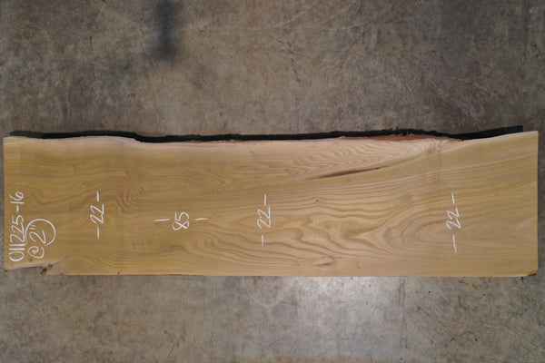 Elm Slab 011225-16