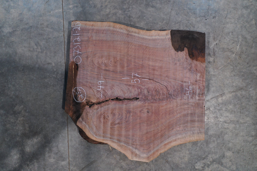 Oregon Black Walnut 073121-02B