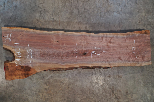 Oregon Black Walnut Slab 101125-1