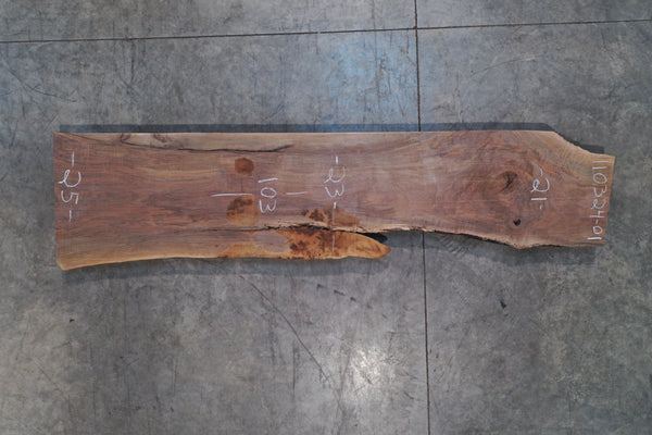 Oregon Black Walnut 110324-01