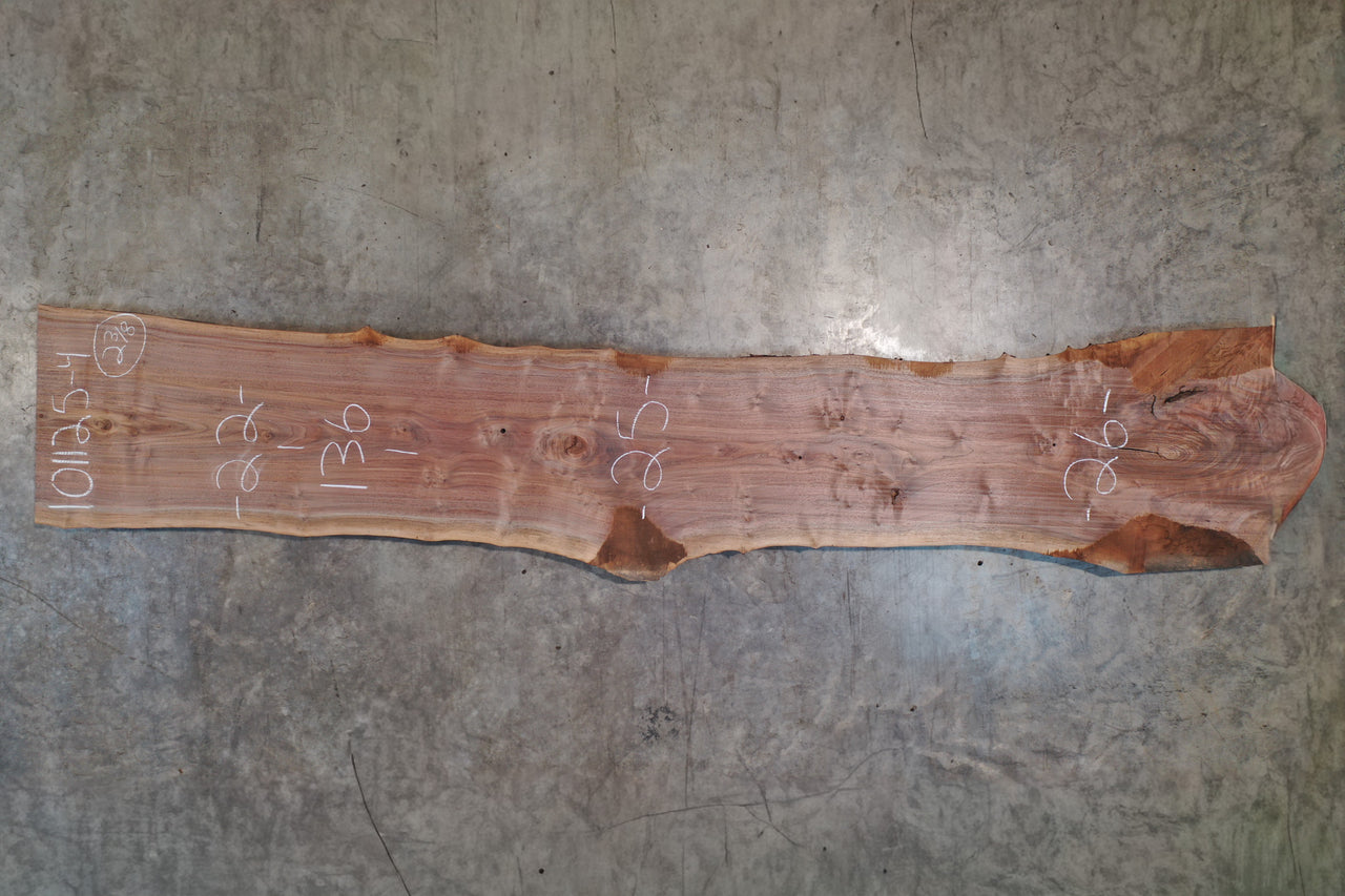 Oregon Black Walnut Slab 101125-4