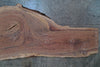 Oregon Black Walnut Slab 080524-07