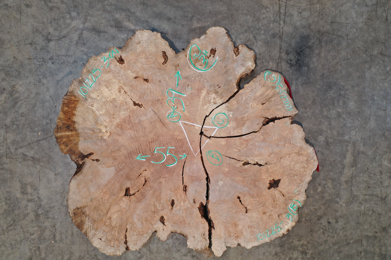 Big Leaf Maple Burl Round 101225-3