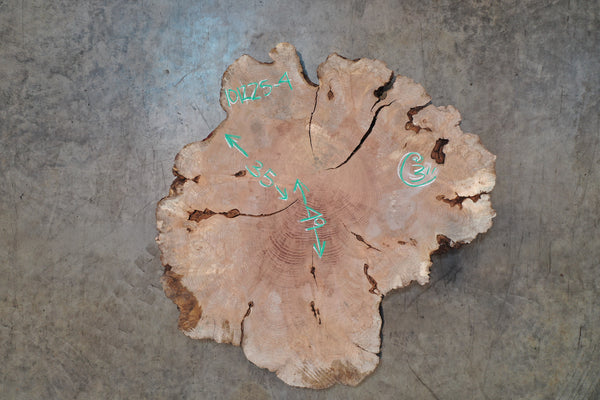 Big Leaf Maple Burl Round 101225-4