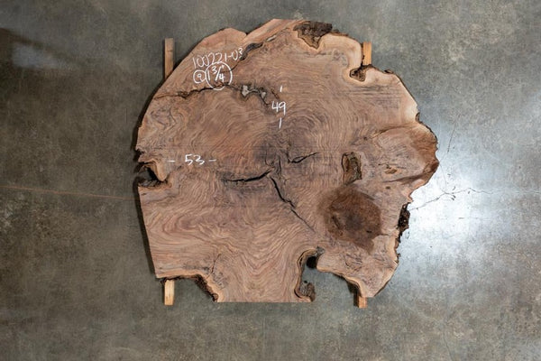 Oregon Black Walnut Round 100221-03