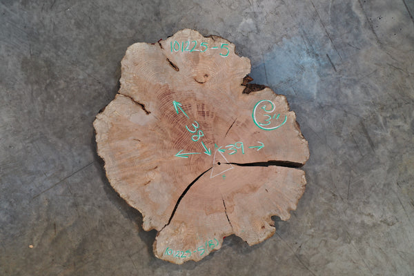 Big Leaf Maple Burl Round 101225-5
