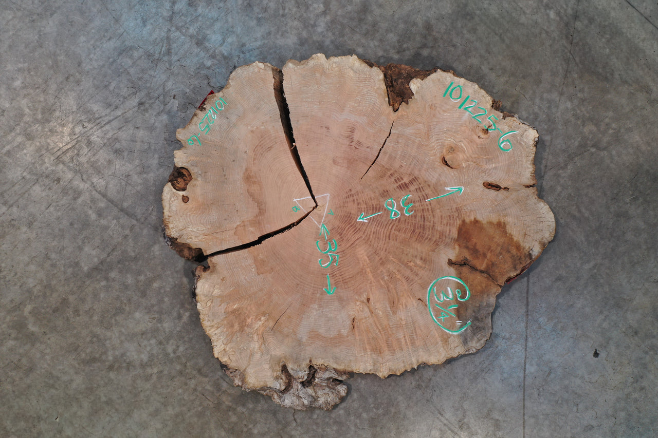 Big Leaf Maple Burl Round 101225-6